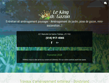 Tablet Screenshot of lekingdugazon.com